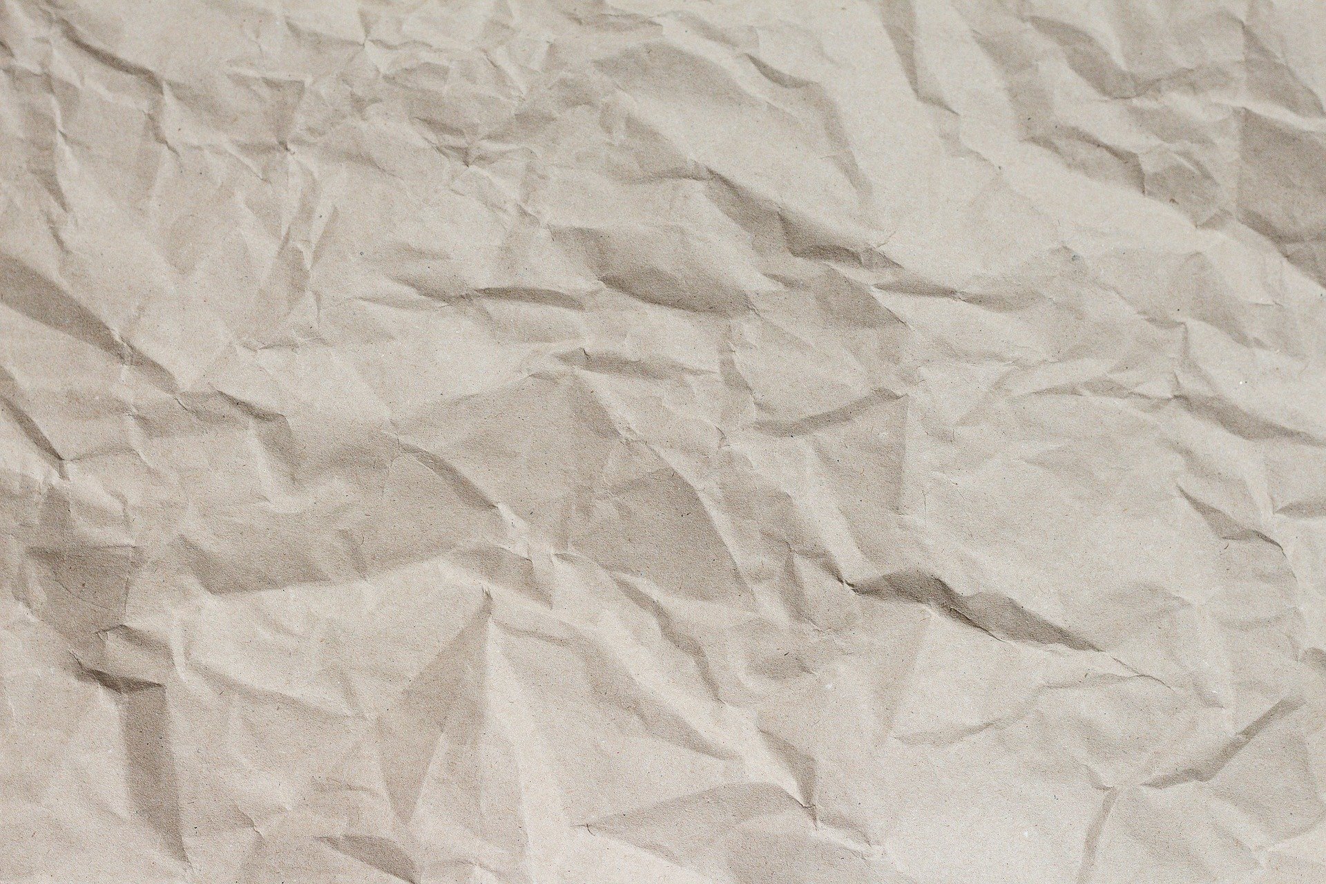 Teppich mit Löschpapier reinigen