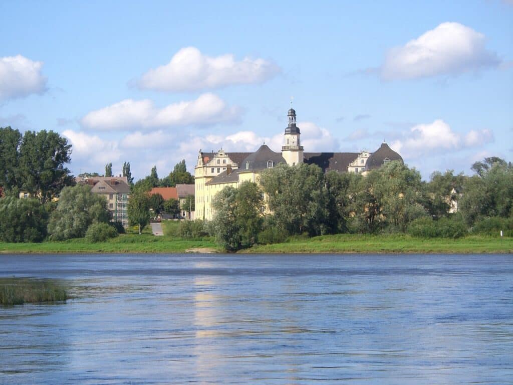 Professionelle Reinigung von Teppichen in Coswig
