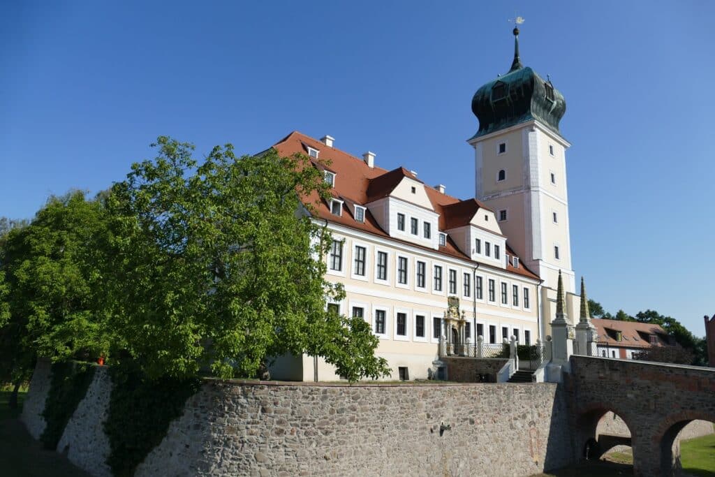 Professionelle Reinigung von Teppichen in Delitzsch