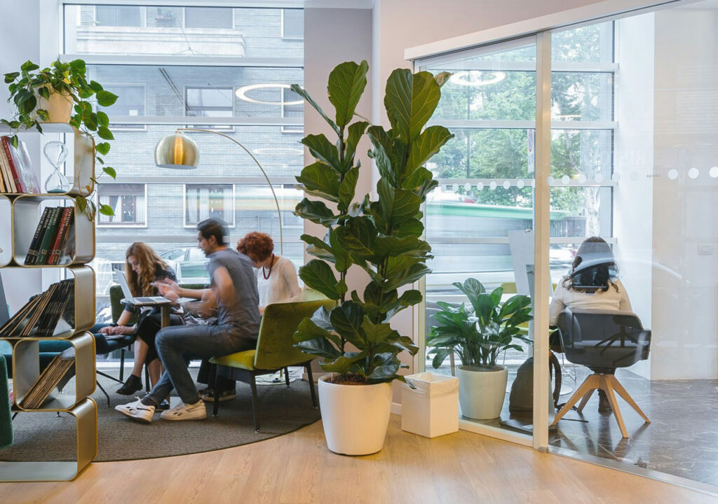 Reinigungsservice für Teppiche für Büroinhaber, Agenturen und Unternehmen