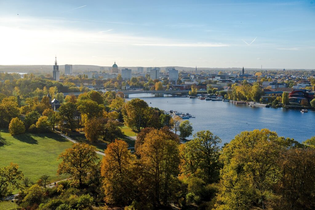 Professionelle Teppichreinigung in Potsdam